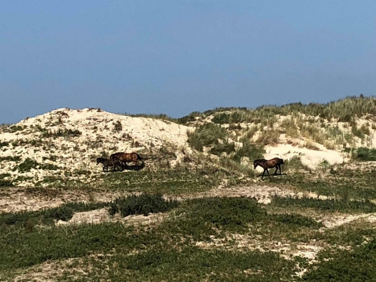 Ferienhaus Gluecklich Am Meer 1 Mit Wellnesszugang Egmond aan Zee Eksteriør bilde